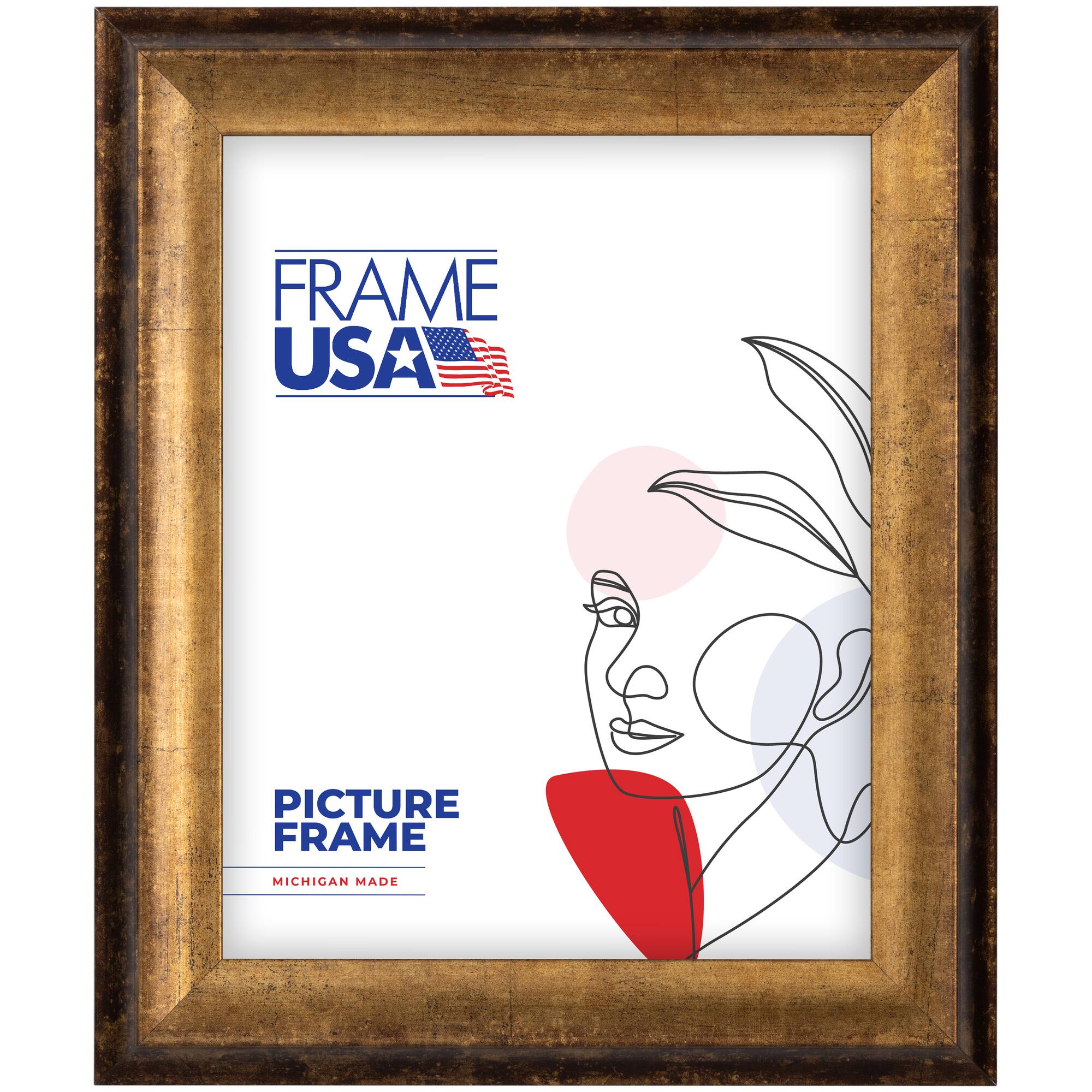 Frame USA Verona Narrow Bronze Single Image Picture Frame